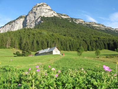 Chartreuse d'Exception en liberté